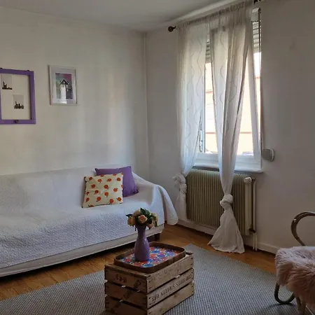 Spacieux Proche Centre-ville Apartment Strasbourg